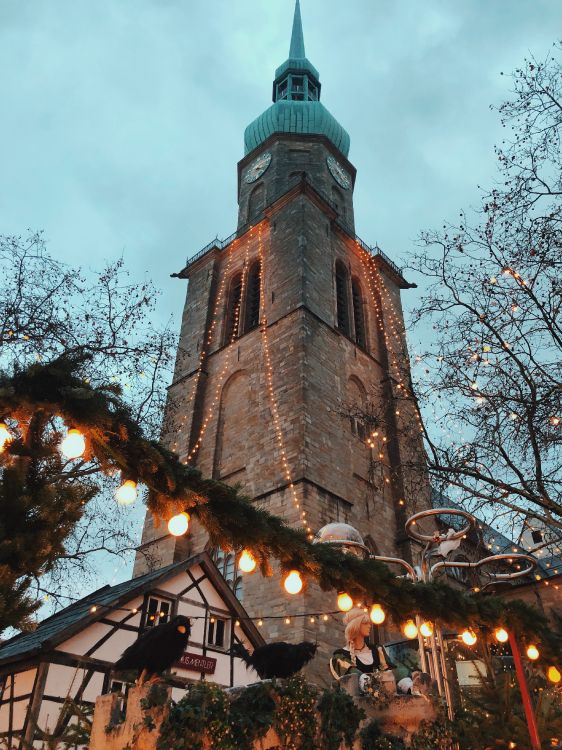 里程碑, 树枝, 尖顶, 礼拜的地方, 炮塔 壁纸 3024x4032 允许