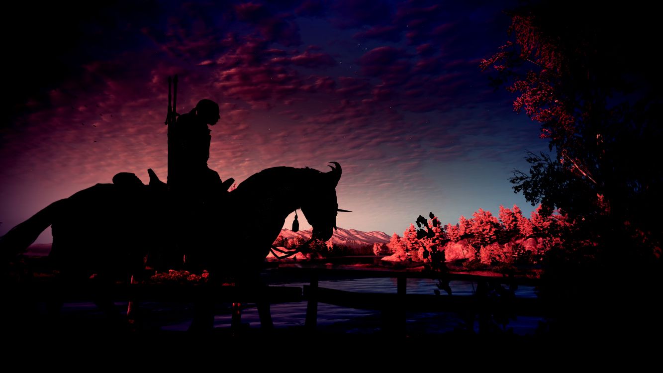 The Witcher 3 Wild Hunt, Playstation 4, Silhouette, Soir, Afterglow. Wallpaper in 9600x5400 Resolution