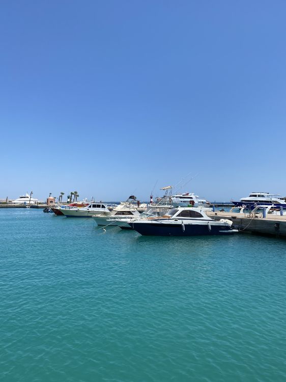 Marina, Fähre, Wasser, Superyacht, Wasserfahrzeug. Wallpaper in 2829x3773 Resolution