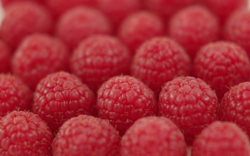 Image red round fruits in close up photography