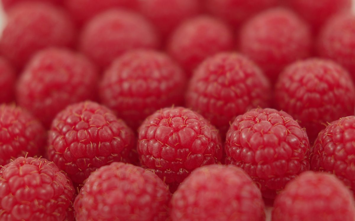 red round fruits in close up photography