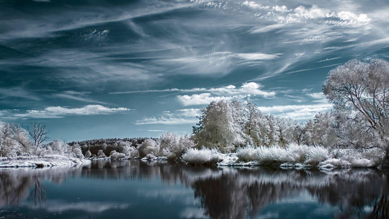 white snow covered trees beside lake under blue sky during daytime