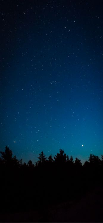 la Astronomía, Ambiente, Paisaje Natural, Entorno Natural, Objeto Astronómico. Wallpaper in 1356x2934 Resolution