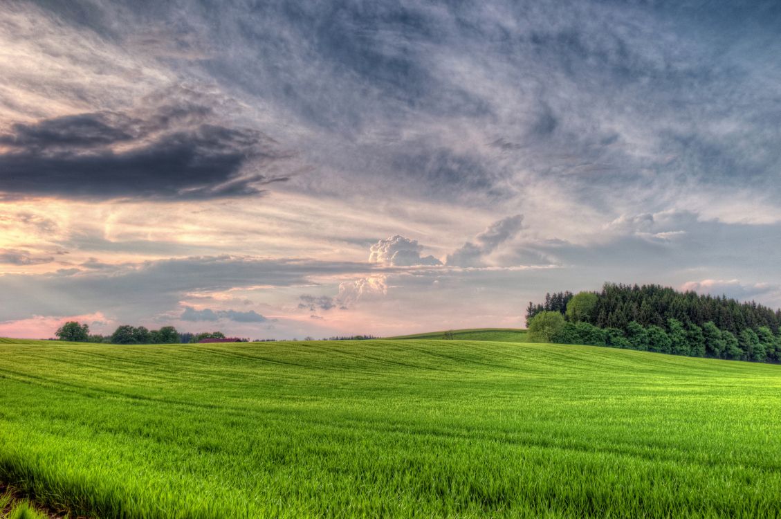 Grüne Wiese Unter Grauen Wolken. Wallpaper in 2560x1700 Resolution