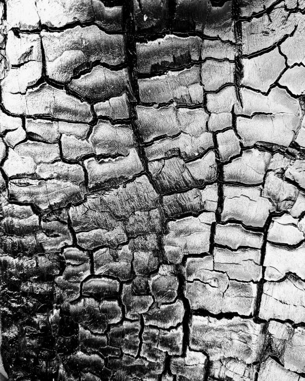 Mur de Pierre, Noir et Blanc, Surface de la Route, Gris, Matériau de Construction. Wallpaper in 3024x3780 Resolution