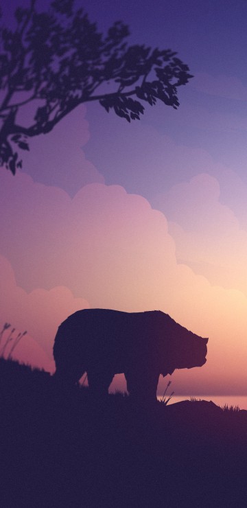 Image sunrise, afterglow, cloud, natural landscape, morning