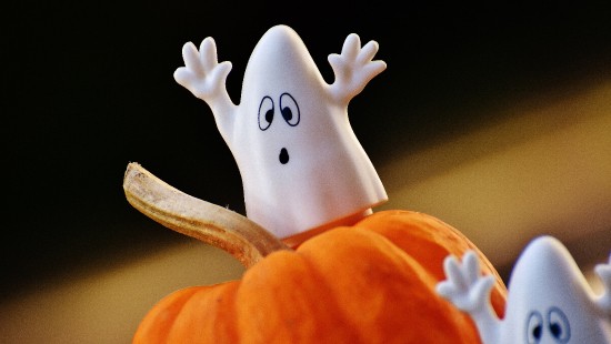 Image Ghost, orange, finger, hand, Pumpkin