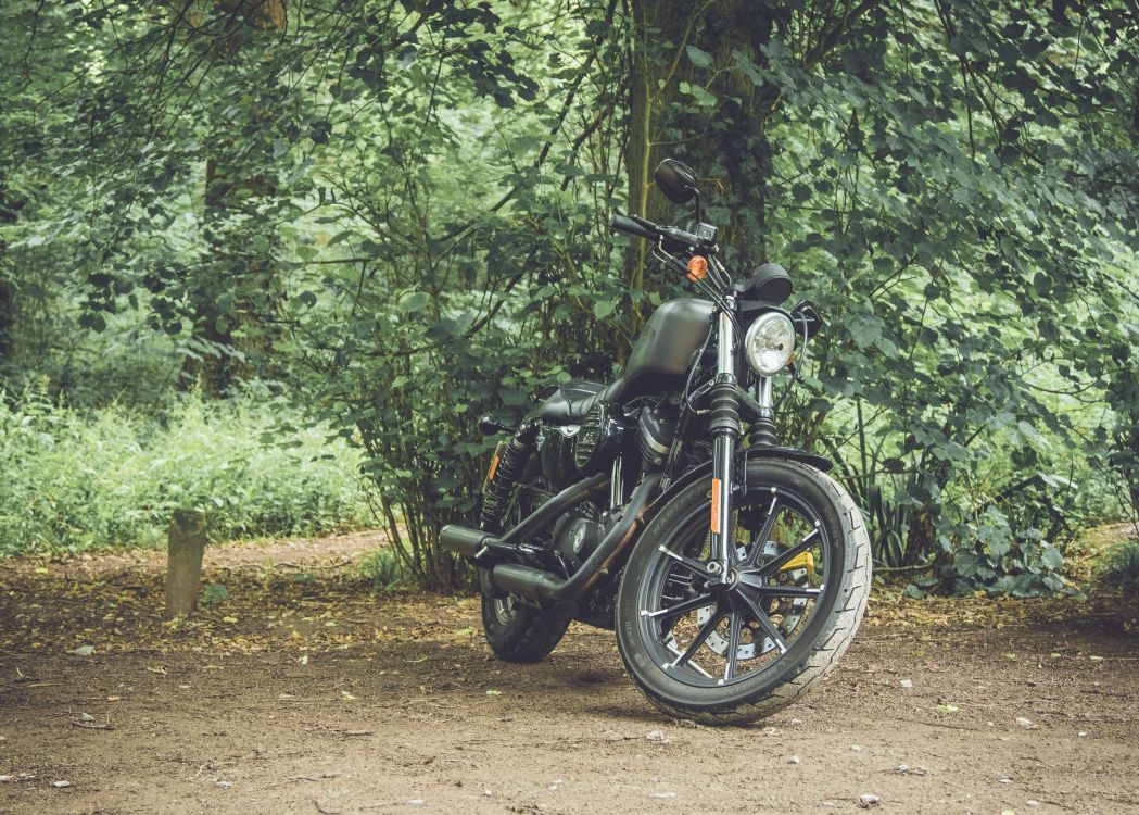Black Motorcycle Parked on Dirt Road in Between Green Trees During Daytime. Wallpaper in 3000x2143 Resolution