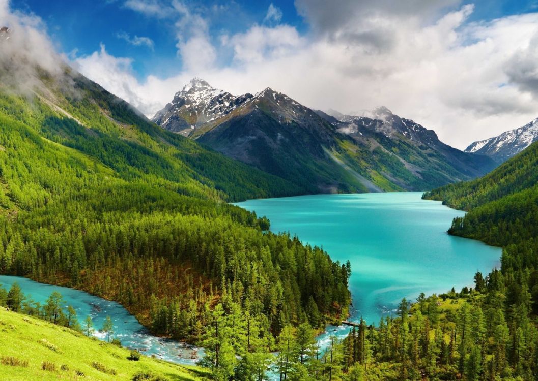 高地, 自然景观, 性质, 塔恩, 荒野 壁纸 3496x2480 允许