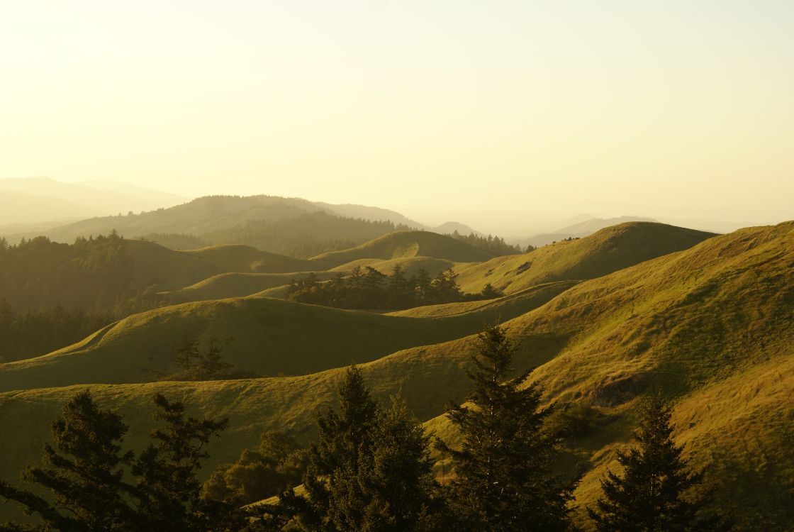 植物群, 生态区, 自然景观, 自然环境, 斜坡 壁纸 3872x2592 允许