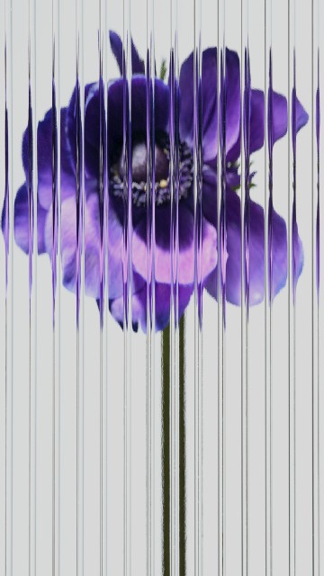 Image nothing phone, nothing phone 1, nothing, nothing phone 2, smartphone