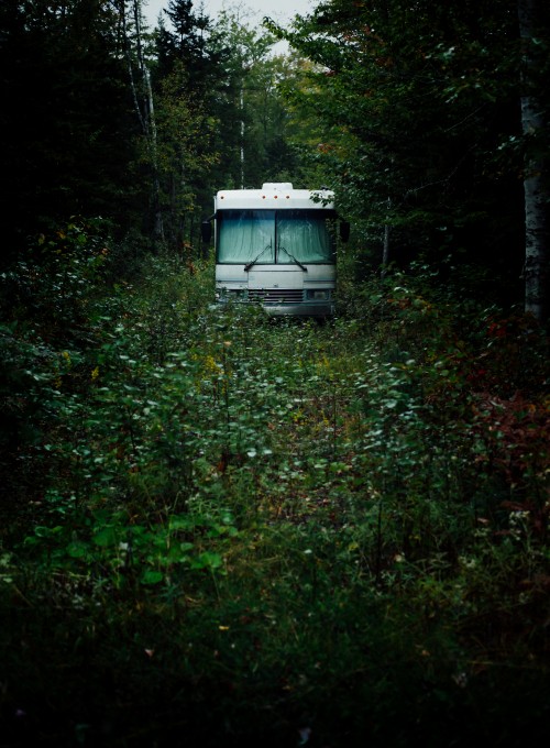 Image white and blue bus on green grass during daytime