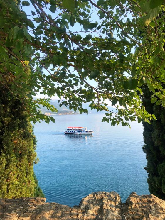 Agua, la Comunidad Vegetal, Biología, Ciencia, Moto de Agua. Wallpaper in 1536x2048 Resolution