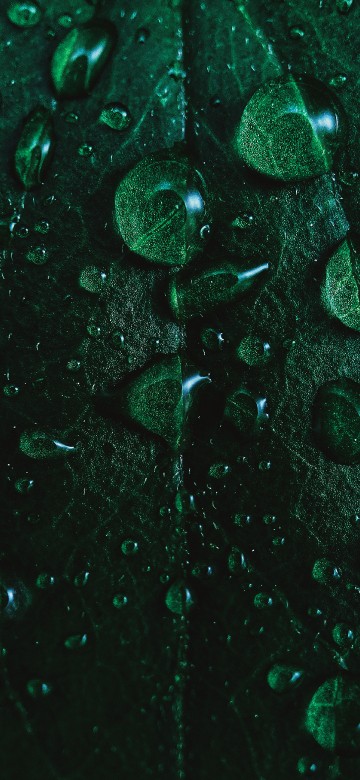 Image ios, apples, midnight green, liquid, fluid