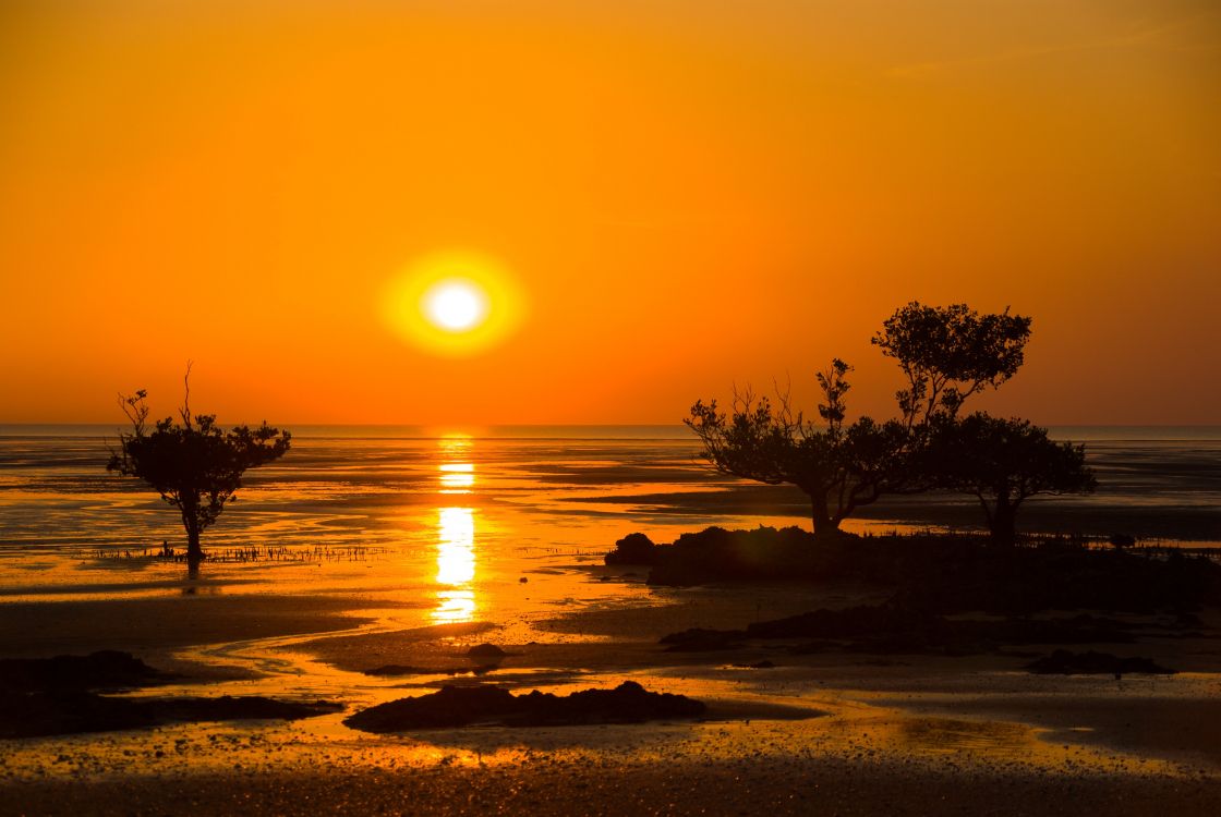 Silueta de Árboles Cerca Del Cuerpo de Agua Durante la Puesta de Sol. Wallpaper in 2800x1874 Resolution