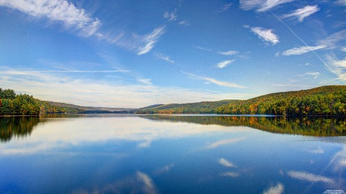 Image green trees near body of water under blue sky during daytime