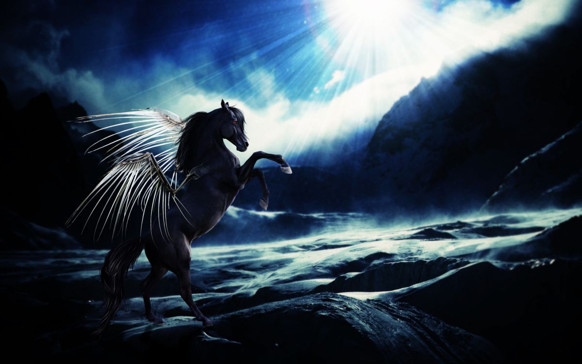 White and Black Horse Running on Black Sand During Daytime. Wallpaper in 2560x1600 Resolution