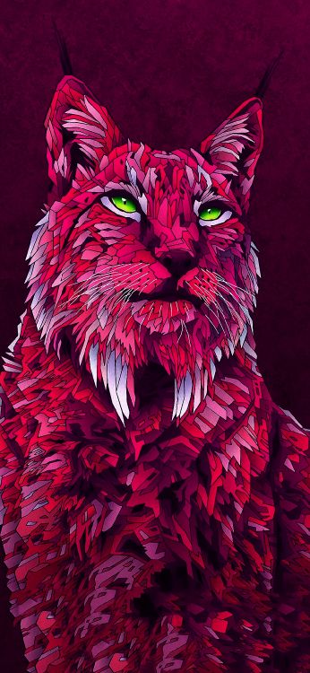 Festival Des Ouragans 2018, Festival du Sud, Eichenring, un Conte D'été, Festival. Wallpaper in 1080x2340 Resolution