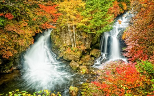 Image waterfalls in forest during daytime