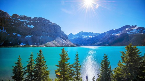 Image green pine trees near lake and mountain under blue sky during daytime