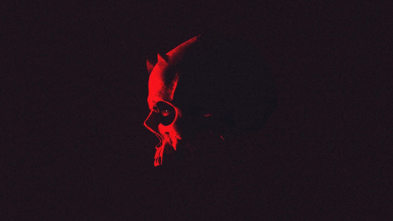 Roter Vogel Fliegt Während Der Nacht. Wallpaper in 2400x1350 Resolution