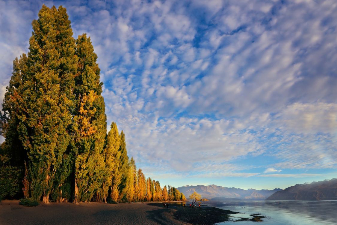 Arbres Verts Près D'un Plan D'eau Sous un Ciel Bleu et Des Nuages Blancs Pendant la Journée. Wallpaper in 2048x1365 Resolution