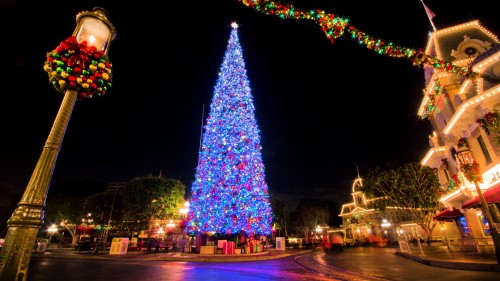 Image christmas tree, garland, new year, landmark, christmas decoration