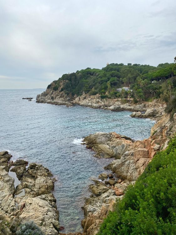 coast, promontory, headland, cove, body of water