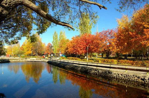 Image body of water near trees during daytime