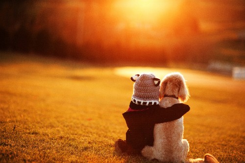 Image white and red snowman plush toy on brown field during daytime