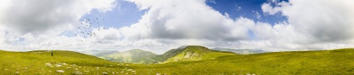 Image green grass field under white clouds