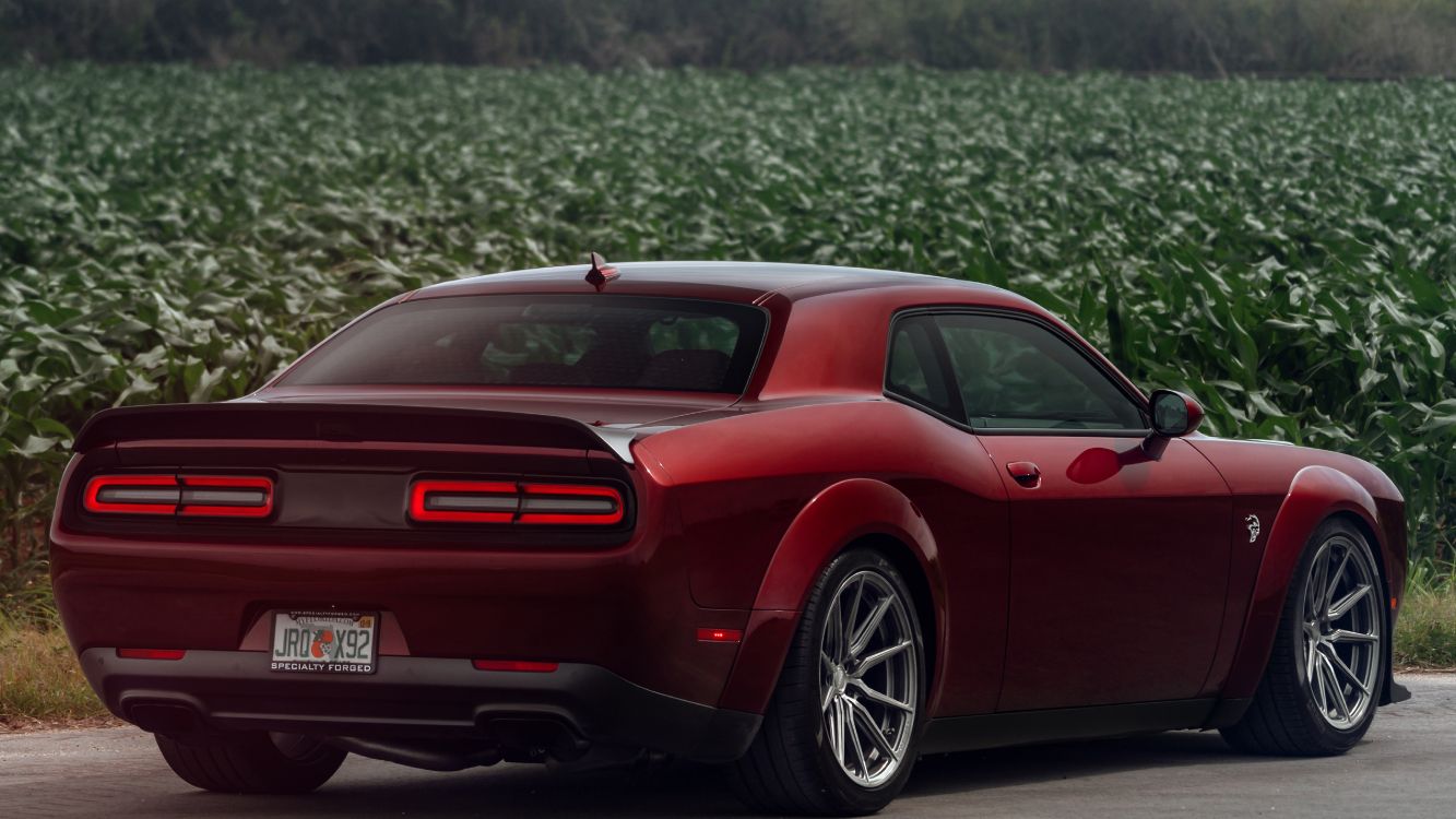 Fondos de Pantalla Chevrolet Camaro Rojo en la Carretera Durante el Día,  Imágenes y Fotos Gratis