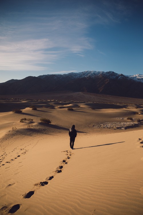 Image desert, dune, sand, natural environment, landscape