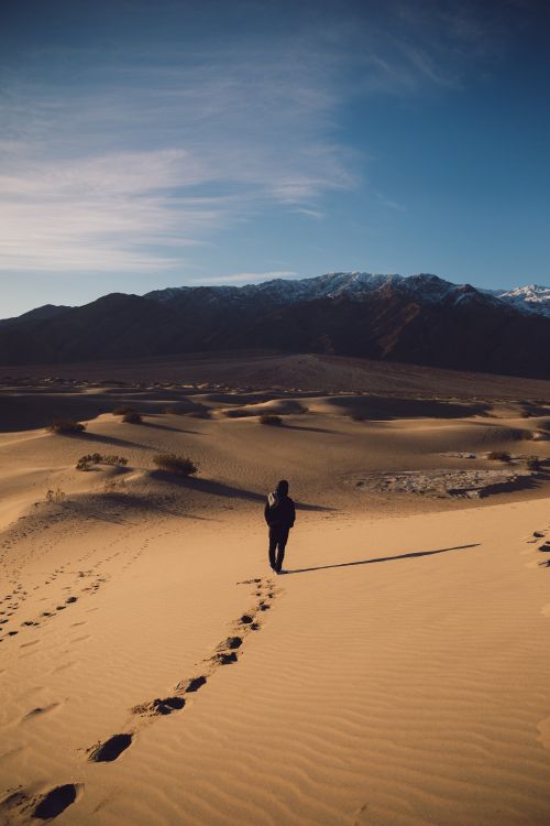 desert, dune, sand, natural environment, landscape