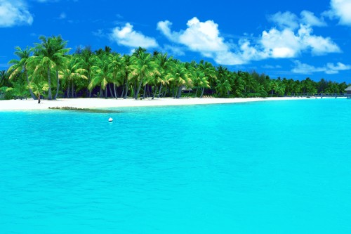 Image white sand beach with palm trees on the side