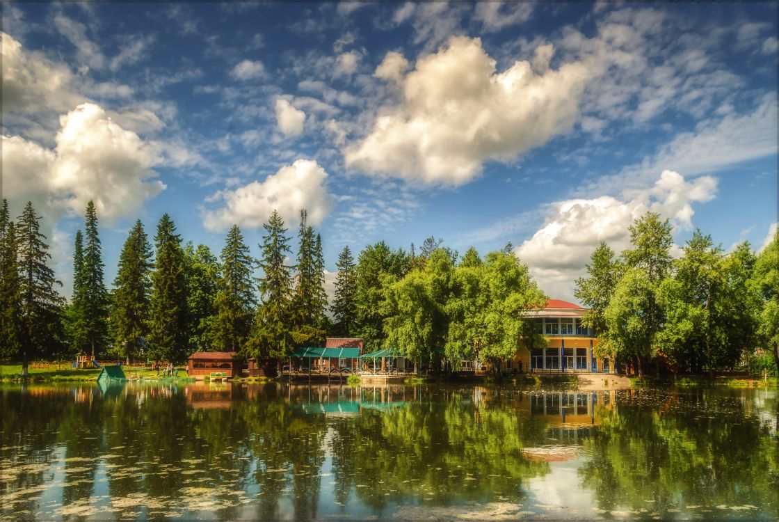 Arbres Verts à Côté D'un Plan D'eau Sous un Ciel Bleu et Des Nuages Blancs Pendant la Journée. Wallpaper in 3000x2008 Resolution