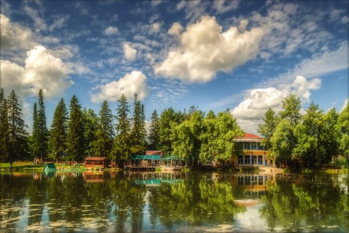 Image green trees beside body of water under blue sky and white clouds during daytime