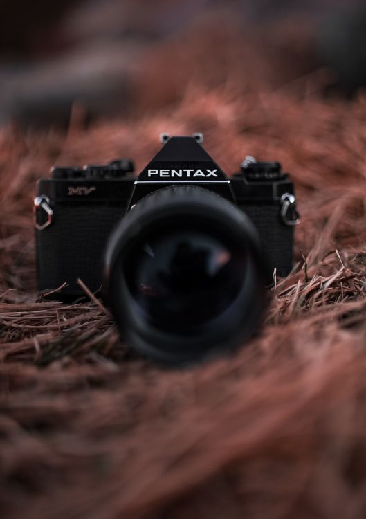 black nikon dslr camera on brown dried grass