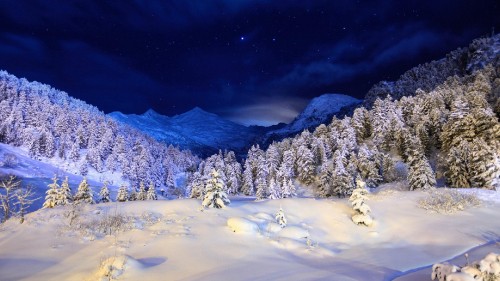 Image snow covered trees and mountains during daytime