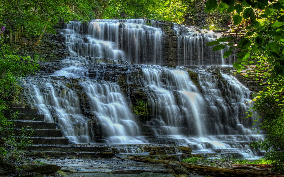 water falls in the forest