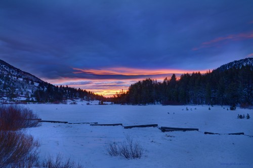 Image snow covered field and trees during sunset