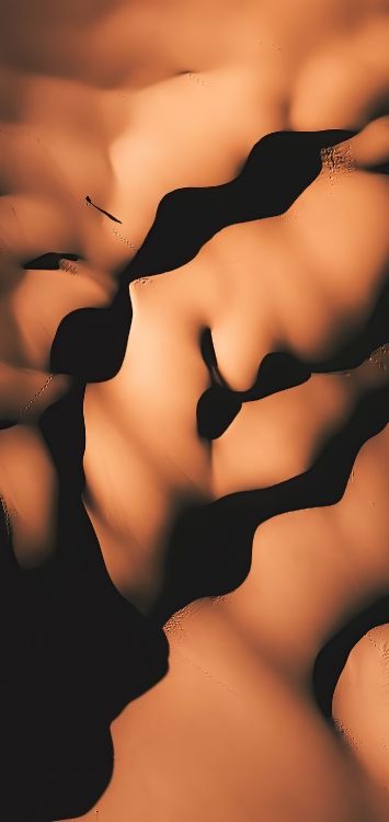 关闭了, 生物学, 脖子, 手势, 手指 壁纸 1420x3000 允许