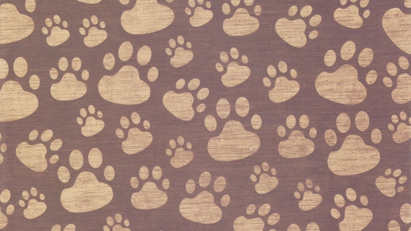 爪子, 棕色, 小狗, 视觉艺术, 黄金猎犬 壁纸 3840x2160 允许