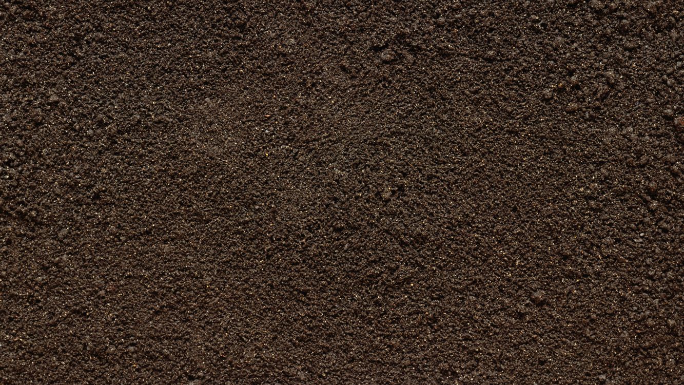 Brown Thick Pile Area Rug. Wallpaper in 2560x1440 Resolution