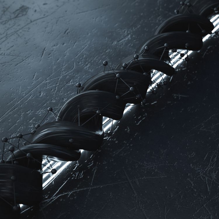 Fotografía en Blanco y Negro de la Rueda de Bicicleta. Wallpaper in 2800x2800 Resolution