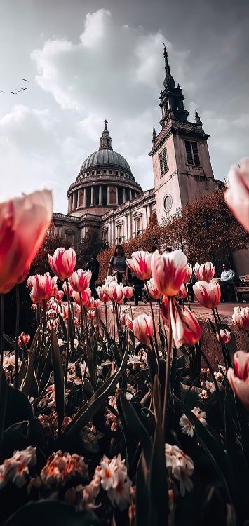 St Pauls Cathedral, Turm Von St. Elsyng Spital, Blütenblatt, Cloud, Gebäude. Wallpaper in 1421x3000 Resolution