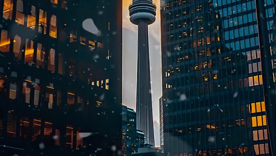 Image CN Tower, skyscraper, building, daytime, world