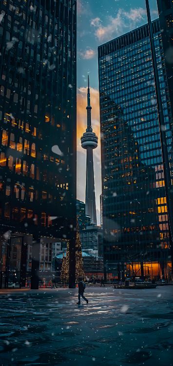 CN Tower, Skyscraper, Building, Daytime, World. Wallpaper in 1420x3000 Resolution