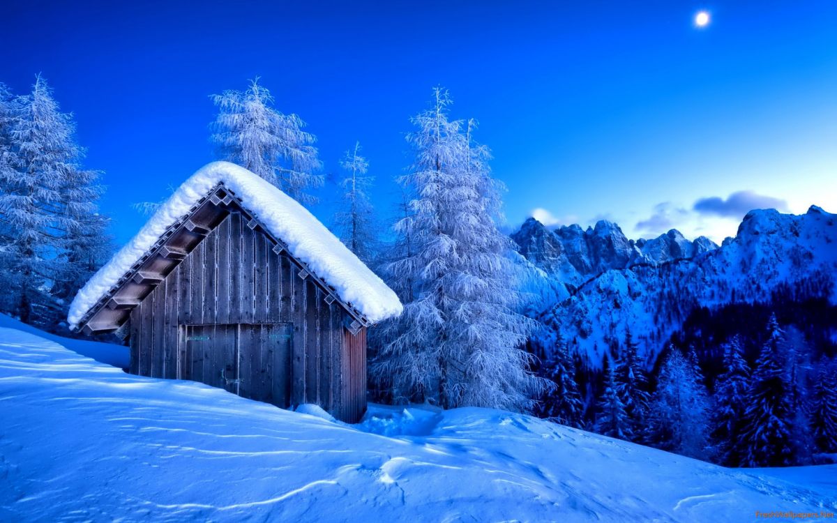 Brown Wooden House Near Green Trees and Snow Covered Mountain During Daytime. Wallpaper in 2560x1600 Resolution