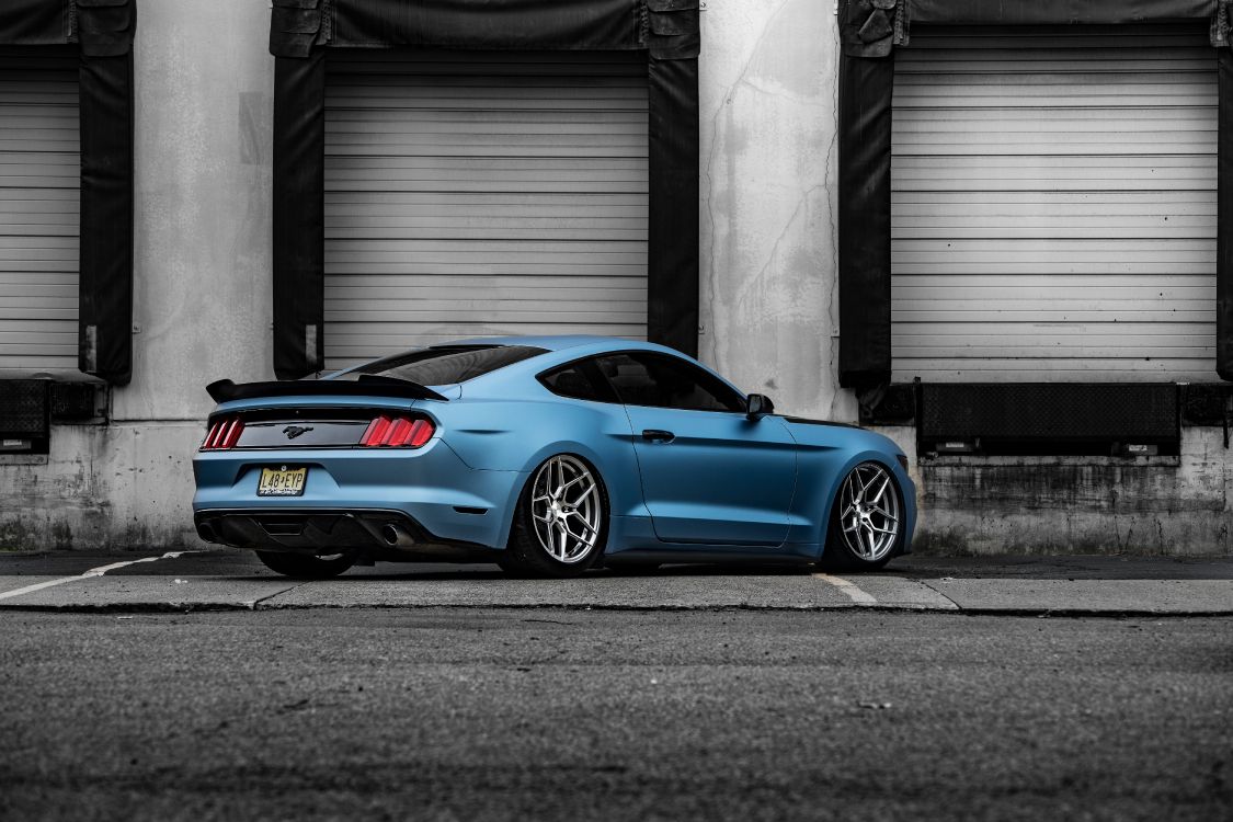 Ford, Rohana Rfx11 Mustang, Ford Mustang, Ford Gt, Ford Motor Company. Wallpaper in 6000x4000 Resolution